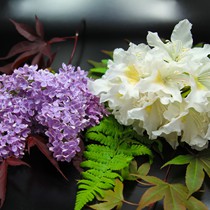 Natur | Blumen & Blüten | Tabletop I