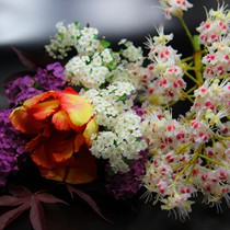 Natur | Blumen & Blüten | Tabletop I