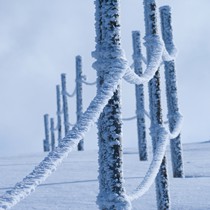 Natur | Schwarzwald | Kandel