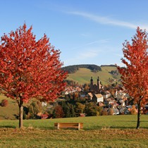 Natur | Schwarzwald | St. Peter