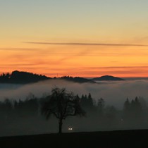 Natur | Schwarzwald | St. Peter