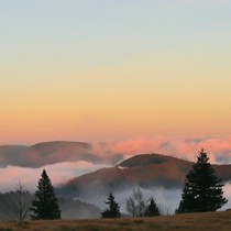 Natur | Schwarzwald | Kandel