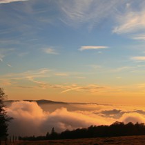 Natur | Schwarzwald | Kandel