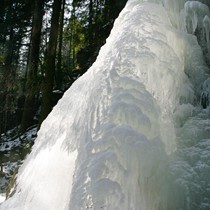 Natur | Schwarzwald | Zweribachfälle
