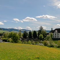 Natur | Schwarzwald | St. Peter