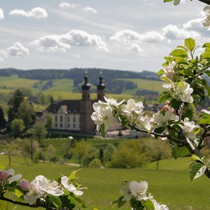 Natur | Schwarzwald | St. Peter