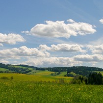 Natur | Schwarzwald | St. Peter