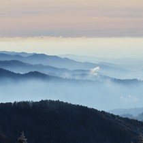 Natur | Schwarzwald | Kandel (Blick ins Rheintal)