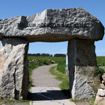 Natur | Schwarzwald | Feldberg & Feldsee