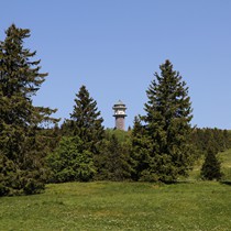 Natur | Schwarzwald | Feldberg & Feldsee