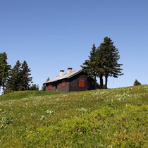 Natur | Schwarzwald | Feldberg & Feldsee