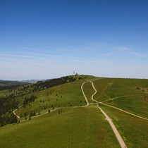 Natur | Schwarzwald | Feldberg & Feldsee