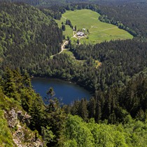 Natur | Schwarzwald | Feldberg & Feldsee