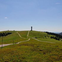 Natur | Schwarzwald | Feldberg & Feldsee