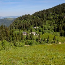 Natur | Schwarzwald | Feldberg & Feldsee