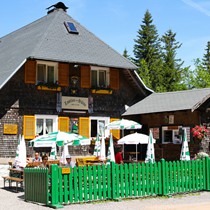 Natur | Schwarzwald | Feldberg & Feldsee