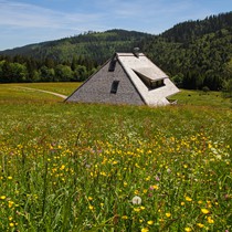 Natur | Schwarzwald | Feldberg & Feldsee