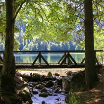 Natur | Schwarzwald | Feldberg & Feldsee