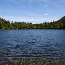 Natur | Schwarzwald | Feldberg & Feldsee