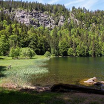 Natur | Schwarzwald | Feldberg & Feldsee