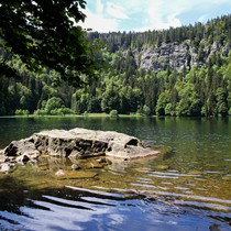 Natur | Schwarzwald | Feldberg & Feldsee