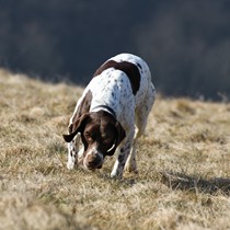 Natur | Tiere | Xaros