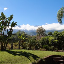 Teneriffa Landschaft & Natur