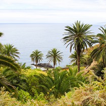 Teneriffa Landschaft & Natur