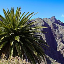 Teneriffa Landschaft & Natur