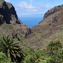 Teneriffa Landschaft & Natur