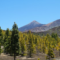 Teneriffa Vulkan Teide