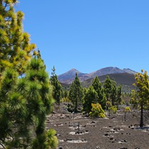 Teneriffa Vulkan Teide