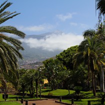 Reisen | Teneriffa | Landschaft & Natur