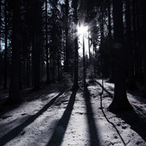 Hochwald bei St. Peter
