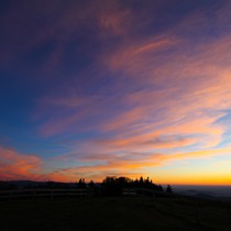 Natur | Schwarzwald | Kandel
