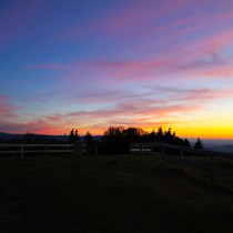 Natur | Schwarzwald | Kandel
