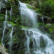 Natur | Schwarzwald | Zweribachfälle
