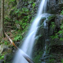 Natur | Schwarzwald | Zweribachfälle
