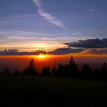 Natur | Schwarzwald | Kandel
