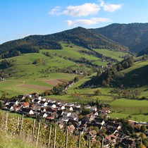 Natur | Schwarzwald | Glottertal
