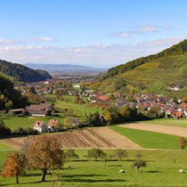 Natur | Schwarzwald | Glottertal
