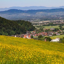 Natur | Schwarzwald | Glottertal

