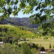 Natur | Schwarzwald | Glottertal
