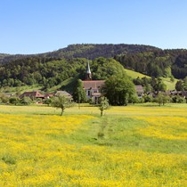 Natur | Schwarzwald | Glottertal
