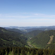 Natur | Schwarzwald | Feldberg & Feldsee